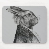 Rabbit Portrait Profile