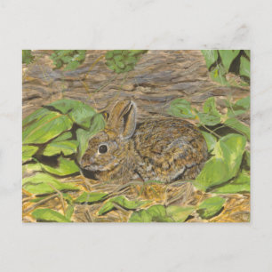 Rabbit post card