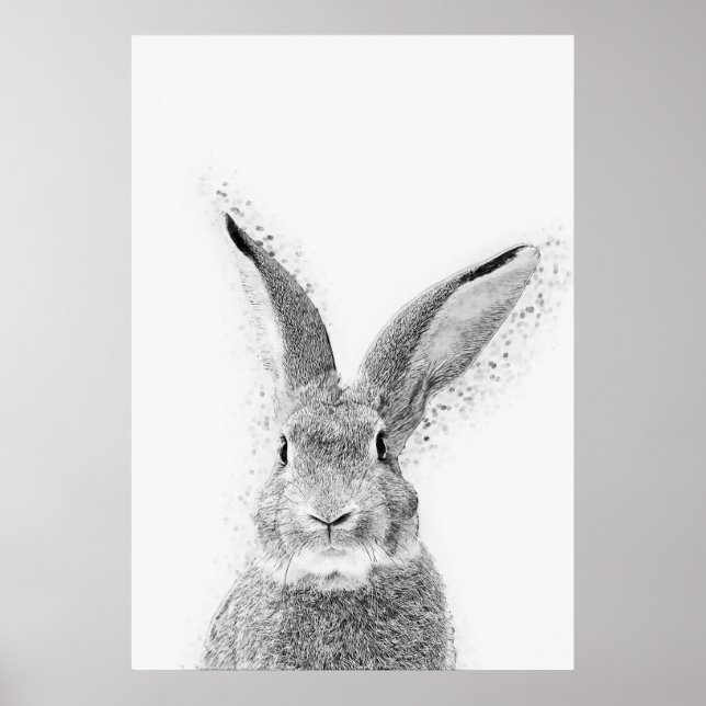 Rabbit Poster (Front)