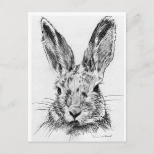 Rabbit Rabbit Postcard