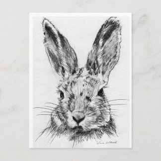 Rabbit Rabbit Postcard