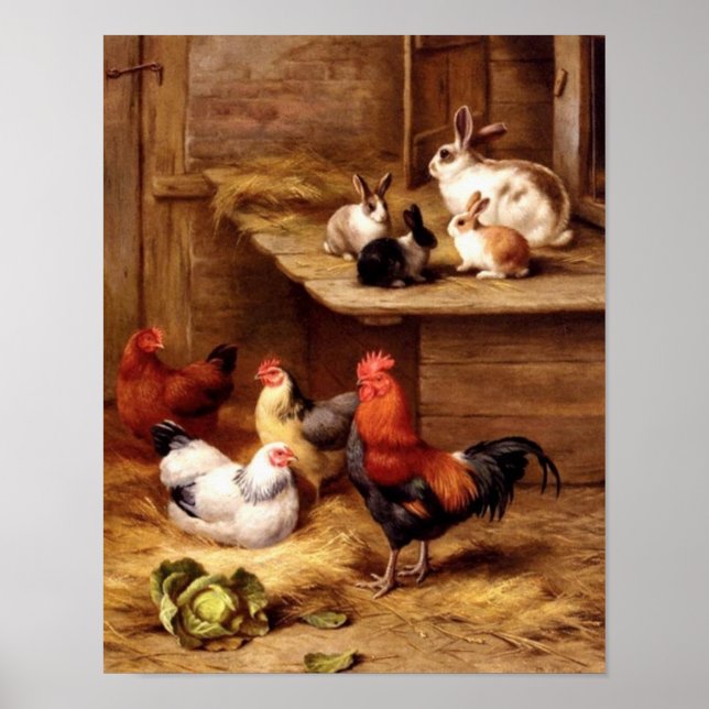 Rabbit rooster hens pets farm animals bunnies poster (Front)