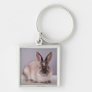 rabbit,simple background,animal,white table, keychain