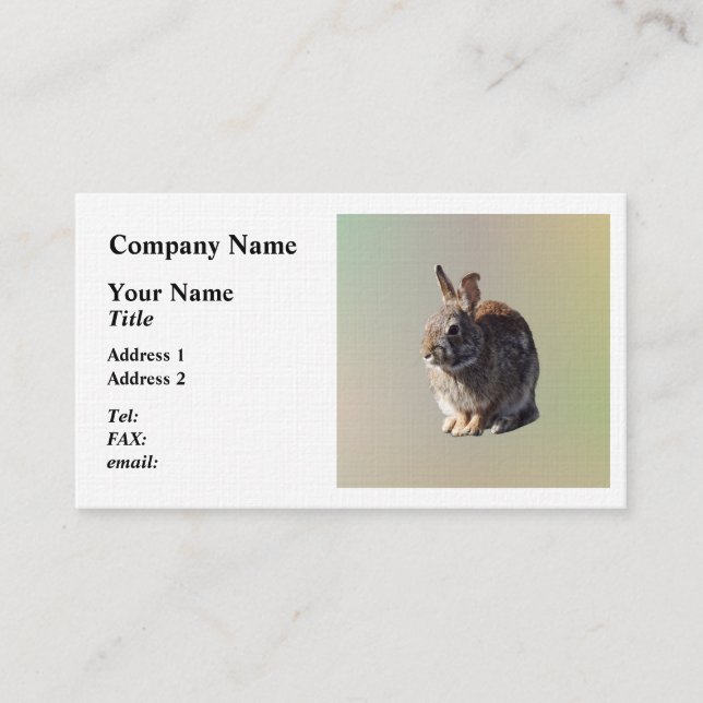 Rabbit Sitting Business Card (Front)