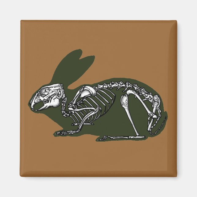 rabbit skeleton magnet (Front)