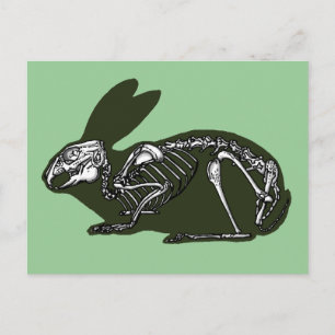 rabbit skeleton postcard