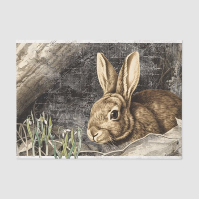 Rabbit Snowdrop Flowers Spring French Script Craft Tissue Paper (Front)