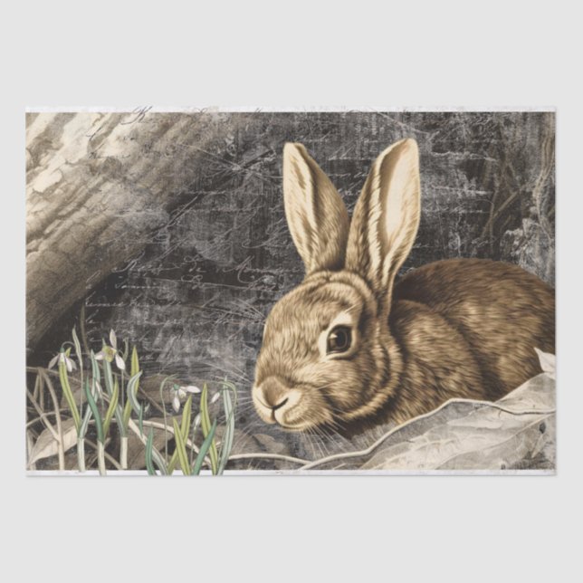 Rabbit Snowdrop Flowers Spring French Script Craft Tissue Paper (Front)