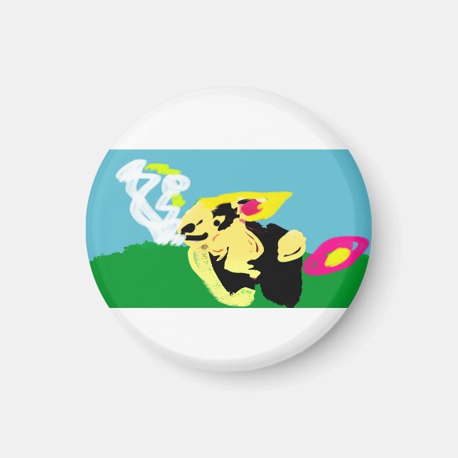 Rabbit spring   magnet (Front)