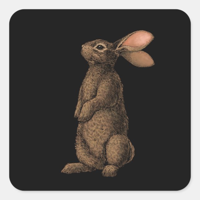 Rabbit Square Sticker (Front)