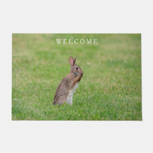 Rabbit standing in the grass and looking shy doormat