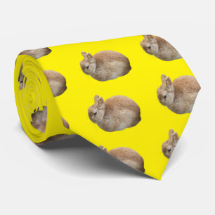 rabbit tie