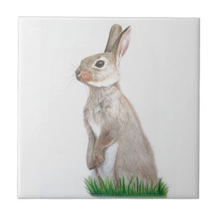 Rabbit Tile