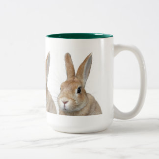 Rabbit Two-Tone Coffee Mug