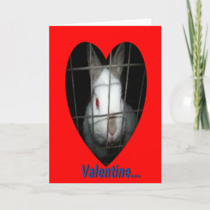 Rabbit Valentine Holiday Card