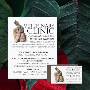 Rabbit, Veterinarian, Veterinary Service Flyer