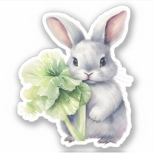 Rabbit with Cabbage