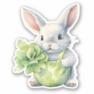 Rabbit with Cabbage
