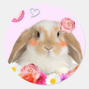 rabbit with flowers classic round sticker