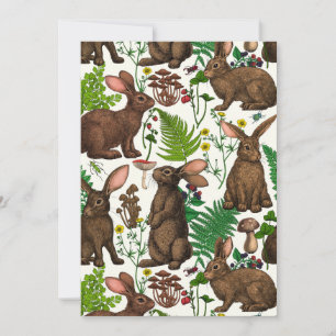 Rabbits and woodland flora 4