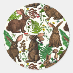 Rabbits and woodland flora 4 classic round sticker