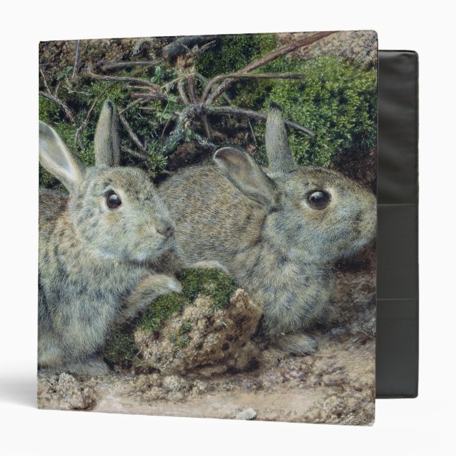 Rabbits Binder (Front/Inside)