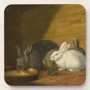 Rabbits Eating Art Coasters