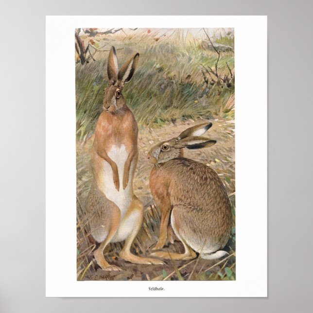 Rabbits in the Field Print (Front)