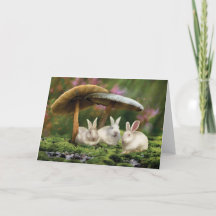 Rabbits in Wonderland (Rabbits & mushrooms card)