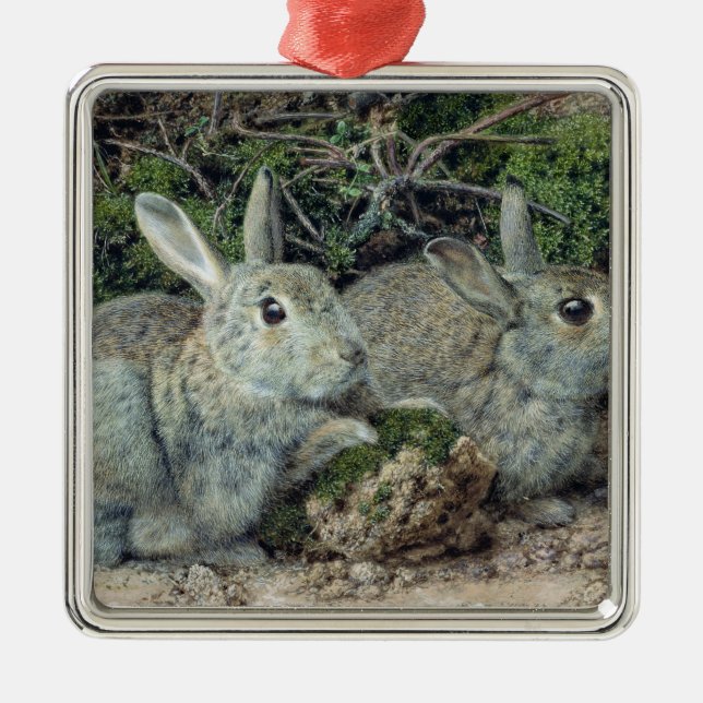 Rabbits Metal Ornament (Front)