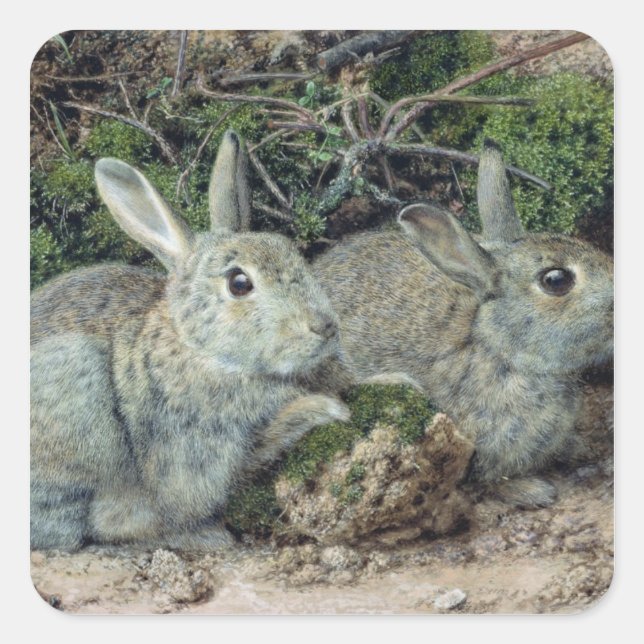 Rabbits Square Sticker (Front)