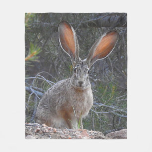 Rabbits, wildlife, fleece blanket