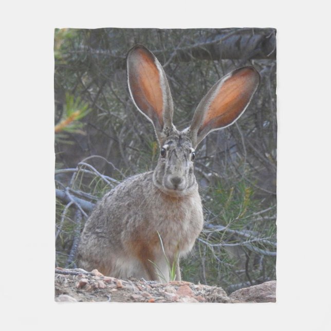 Rabbits, wildlife, fleece blanket (Front)