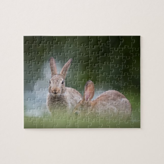 Rabbits Wildlife Photo Jigsaw Puzzle (Horizontal)