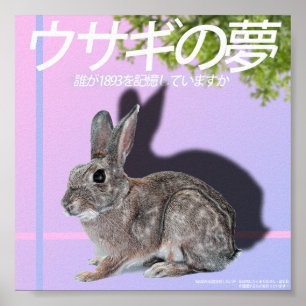 Rabbitwave 2.0 Poster