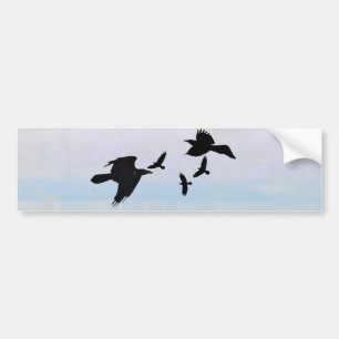 Raben raven bumper sticker