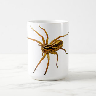 Rabid Wolf Spider (Rabidosa rabida) Coffee Mug