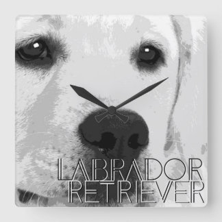 Rabrador Retriever Square Wall Clock