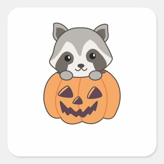 Raccin In Pumpkin Sweet Raccoon Happy Halloween Square Sticker (Front)