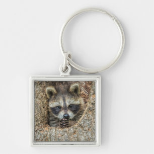 Raccon Nestled Inside a Tree Hollow Keychain