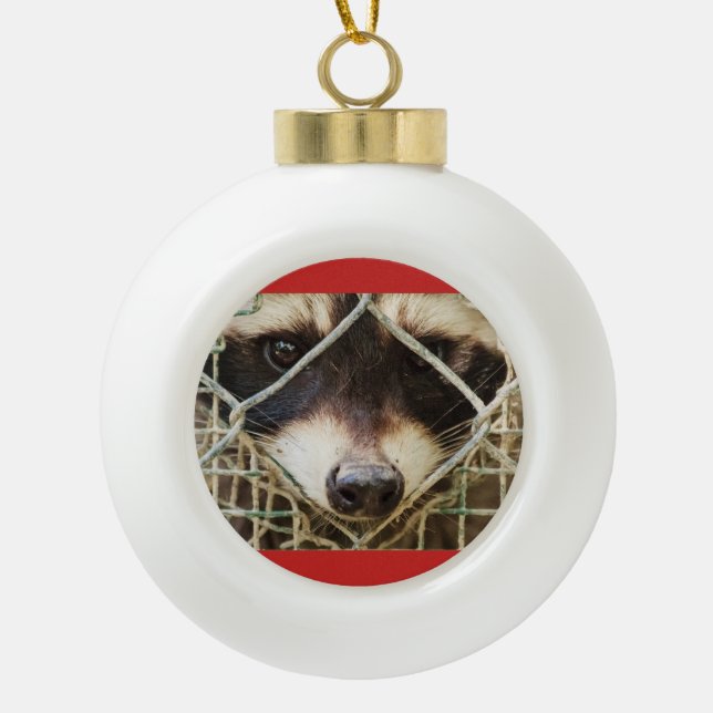 raccon on Ceramic Ball Ornament (Front)