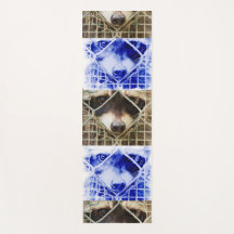 raccon sur tapis de yoga