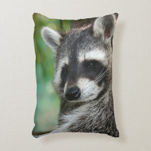 Raccoon 001 accent pillow
