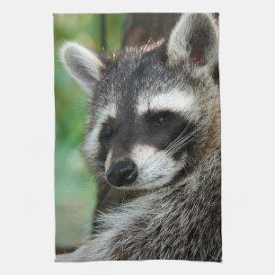 Raccoon 001 kitchen towel
