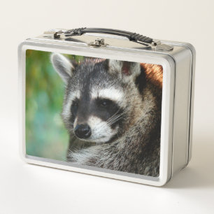 Raccoon 001 metal lunch box