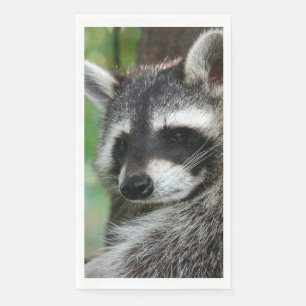 Raccoon 001 napkin