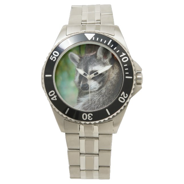 Raccoon 001 watch (Front)