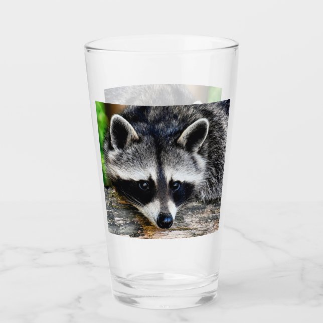 Raccoon 003 glass (Front)