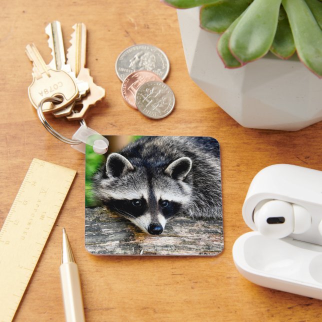 Raccoon 003 keychain (Desk)