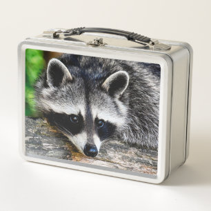 Raccoon 003 metal lunch box